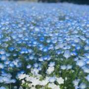 ヒメ日記 2026/04/29 07:44 投稿 とも美 VIOLET(ヴァイオレット)