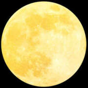 ヒメ日記 2026/05/01 23:25 投稿 とも美 VIOLET(ヴァイオレット)