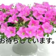 ヒメ日記 2026/05/07 14:54 投稿 とも美 VIOLET(ヴァイオレット)