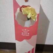 ヒメ日記 2026/05/10 22:25 投稿 とも美 VIOLET(ヴァイオレット)