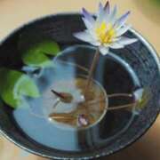 ヒメ日記 2026/08/17 23:00 投稿 とも美 VIOLET(ヴァイオレット)