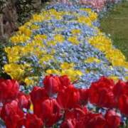 ヒメ日記 2026/04/07 13:46 投稿 まこ ももいろワイフ(久喜)