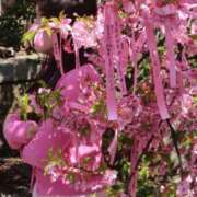 まこ 🌸感謝🌸 ももいろワイフ(久喜)