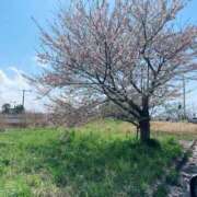 くらん おはようございます☀️ 熟女の風俗最終章 新潟店