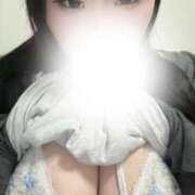 ヒメ日記 2026/04/10 01:42 投稿 しおん 川越ぽちゃまに