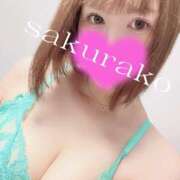 ヒメ日記 2026/04/29 07:50 投稿 桜子 若葉