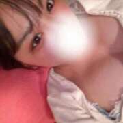 ヒメ日記 2026/04/09 16:43 投稿 ふわり サティアンまーと