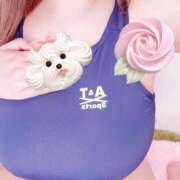 ヒメ日記 2026/04/17 10:15 投稿 ゆん ぷるりんクエスト上野浅草鶯谷秋葉原デリヘル王国