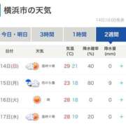 ヒメ日記 2026/06/14 11:03 投稿 しろな 横浜人妻花壇本店