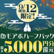 ヒメ日記 2026/09/12 08:07 投稿 しろな 横浜人妻花壇本店
