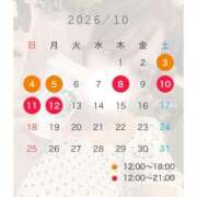 ヒメ日記 2026/09/29 16:48 投稿 しろな 横浜人妻花壇本店