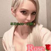 ローズ 感謝の気持ちで♡ ニュー姫