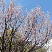 ヒメ日記 2026/04/04 22:14 投稿 橘みわ プレジデントハウス