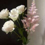 ヒメ日記 2026/04/07 23:10 投稿 橘みわ プレジデントハウス