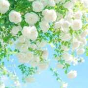 ヒメ日記 2026/04/11 11:23 投稿 橘みわ プレジデントハウス