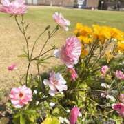 ヒメ日記 2026/04/16 22:49 投稿 橘みわ プレジデントハウス