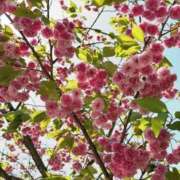 ヒメ日記 2026/04/18 09:18 投稿 橘みわ プレジデントハウス