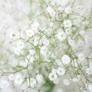 ヒメ日記 2026/04/19 23:21 投稿 橘みわ プレジデントハウス