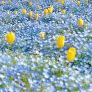 ヒメ日記 2026/04/20 01:18 投稿 橘みわ プレジデントハウス