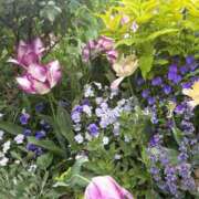 ヒメ日記 2026/04/24 07:55 投稿 橘みわ プレジデントハウス