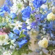 ヒメ日記 2026/04/28 07:48 投稿 橘みわ プレジデントハウス