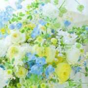 ヒメ日記 2026/08/05 01:01 投稿 橘みわ プレジデントハウス