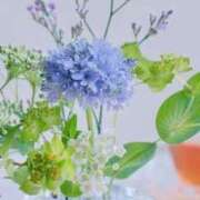 ヒメ日記 2026/08/12 06:00 投稿 橘みわ プレジデントハウス