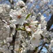 ヒメ日記 2026/04/03 19:12 投稿 吉森 ゆりか 大阪貴楼館