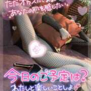 ヒメ日記 2026/10/14 16:12 投稿 もえか ドMな奥様 京都店
