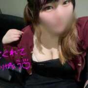 ヒメ日記 2026/04/07 00:18 投稿 せりな 白いぽっちゃりさん