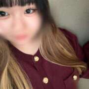 ヒメ日記 2026/04/19 12:14 投稿 せりな 白いぽっちゃりさん