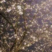 ヒメ日記 2026/04/17 01:38 投稿 ひまわり ハピネス＆ドリーム福岡