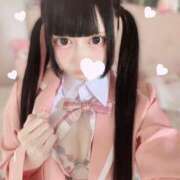 ねこ はじめまして♡ 姫コレクション 高崎前橋店