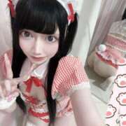 ヒメ日記 2026/04/07 13:52 投稿 ねこ 姫コレクション 高崎前橋店