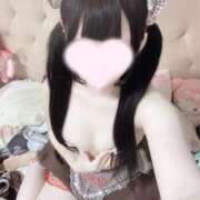 ヒメ日記 2026/04/07 15:52 投稿 ねこ 姫コレクション 高崎前橋店