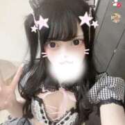 ヒメ日記 2026/04/09 15:16 投稿 ねこ 姫コレクション 高崎前橋店