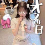 ヒメ日記 2026/04/15 17:32 投稿 はな Evolution 2nd