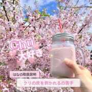 ヒメ日記 2026/04/15 18:02 投稿 はな Evolution 2nd