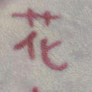 ヒメ日記 2026/04/24 07:27 投稿 はな Evolution 2nd