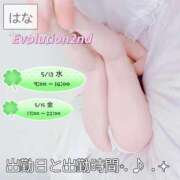 ヒメ日記 2026/05/09 08:54 投稿 はな Evolution 2nd