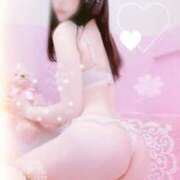 ヒメ日記 2026/05/14 20:52 投稿 はな Evolution 2nd