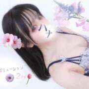 ヒメ日記 2026/06/04 01:32 投稿 はな Evolution 2nd