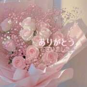ヒメ日記 2026/06/07 13:34 投稿 はな Evolution 2nd