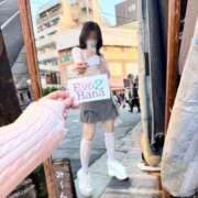 ヒメ日記 2026/06/09 05:52 投稿 はな Evolution 2nd