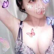ヒメ日記 2026/07/14 13:32 投稿 はな Evolution 2nd
