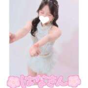 ヒメ日記 2026/09/12 00:02 投稿 はな Evolution 2nd