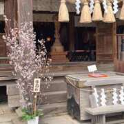 ヒメ日記 2026/04/20 08:01 投稿 久美(くみ) 上野人妻城