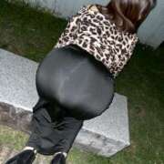 ヒメ日記 2026/04/11 19:59 投稿 桜衣吹 こあくまな熟女たち三河店（KOAKUMAグループ）