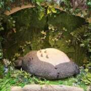 タエ子　たえこ　（35） 本日初日です* 出会い系人妻ネットワーク 熊谷編