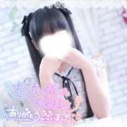 ヒメ日記 2026/04/10 03:39 投稿 収容番号：88番 非自由人躾専門店 淫姦収容所 日本橋本拠地